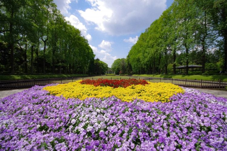 IMGP4579 栃木県中央公園