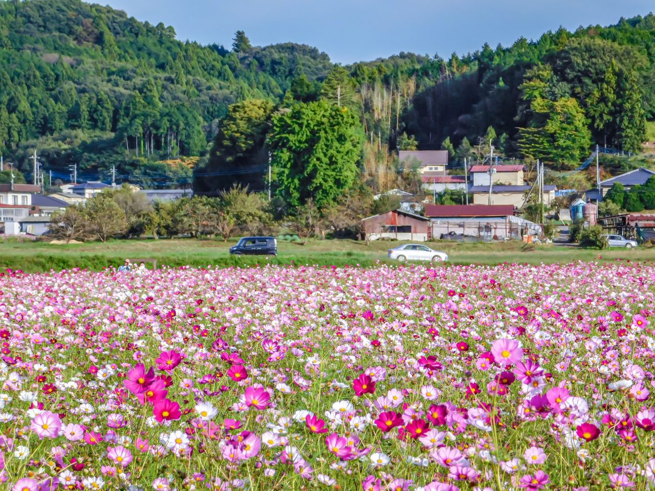 益子町ってどんなところ？