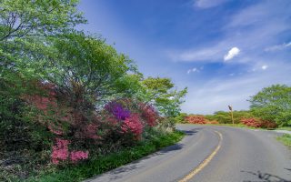 【栃木ドライブ紀行】静寂の森と巨大橋を抜ける！「那須甲子道路」完全攻略ガイド