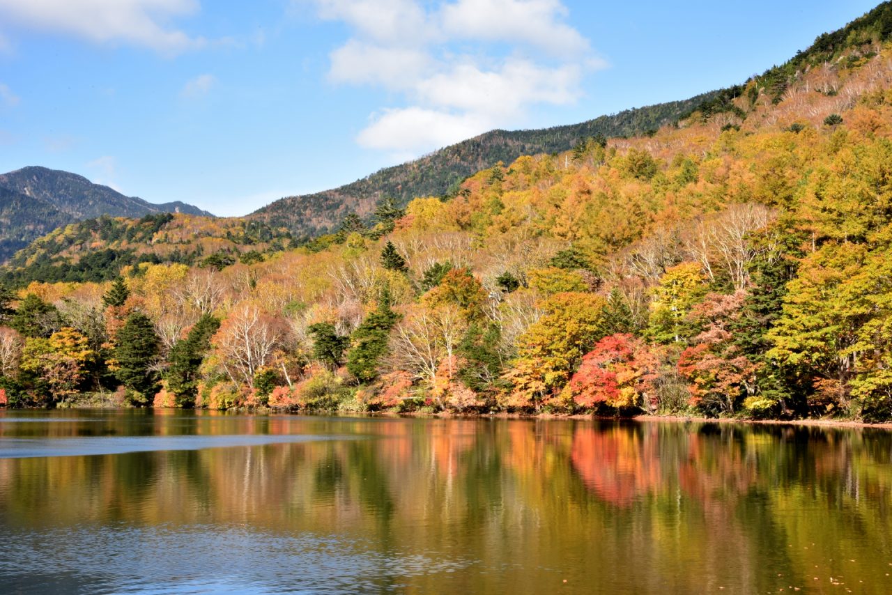 4074706 m 栃木県の魅力と情報発信！みんなで作る 栃木県ファンサイト