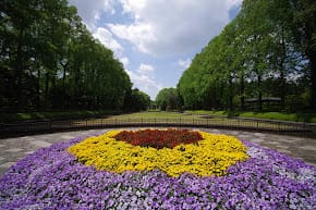 栃木県中央公園