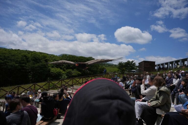 那須どうぶつ王国