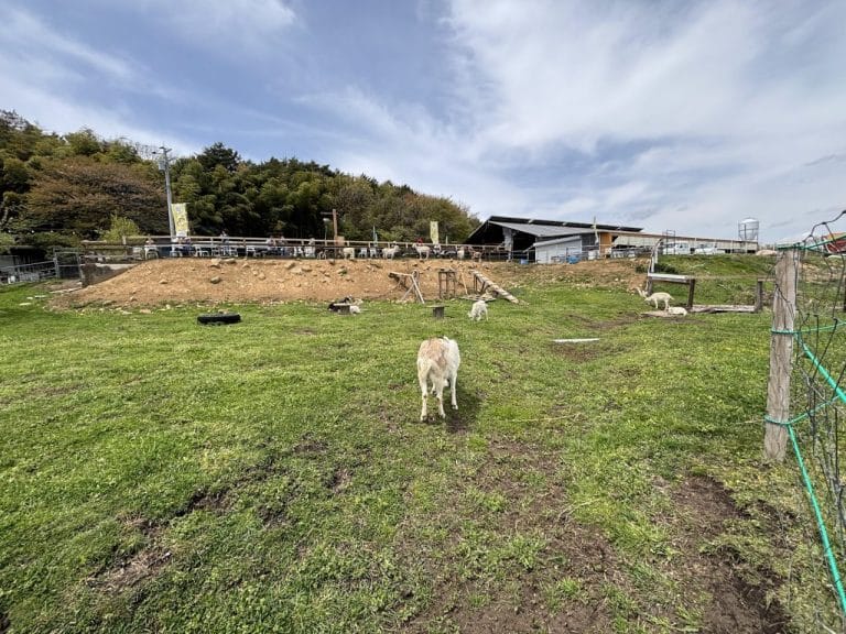 那須高原ジャージー農場 まきばカフェ