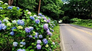 【栃木ドライブ紀行】リゾートから荒涼たる火山へ！「那須高原線（旧ボルケーノハイウェイ）」完全攻略ガイド