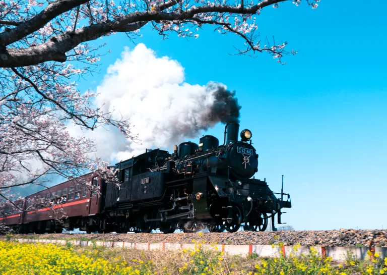 真岡市ってどんなところ？SLの汽笛が響く「イチゴ王国」！充実の子育て支援が光るまち