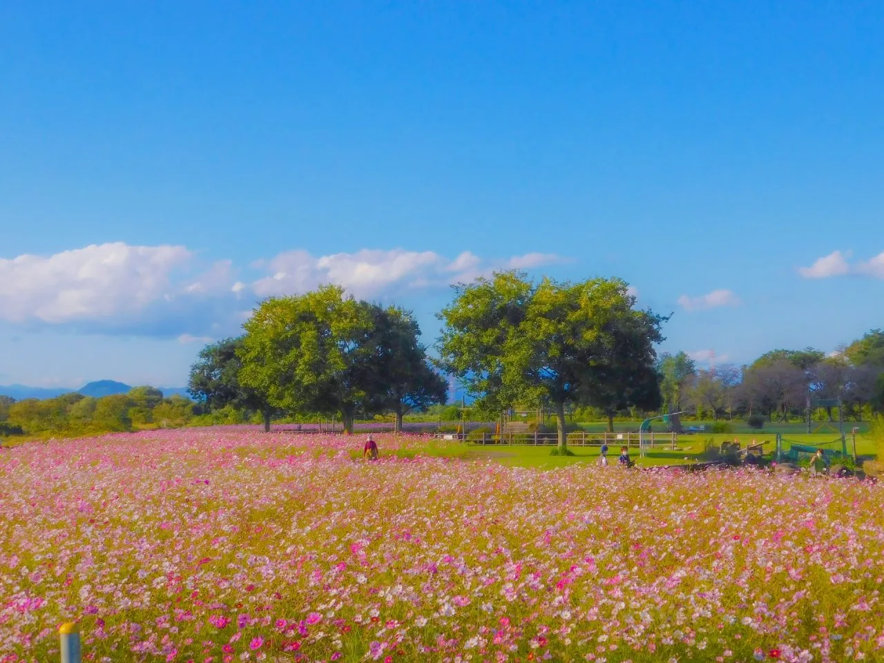 高根沢町ってどんなところ？宇都宮の隣で元気が湧き出る、暮らしと遊びの快適タウン
